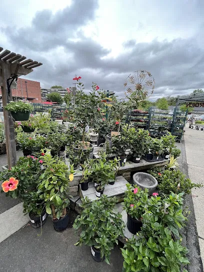 Logo of Blackhawk Hardware and Garden Center